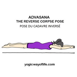 Advasana - la posture du cadavre inversé - the reverse corpse pose
