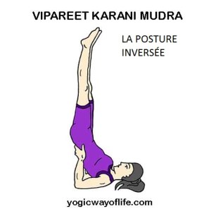 Vipareet Karani Mudra - La posture inversée Vipareet Karani Mudra - La posture inversée
