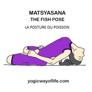 Matsyasana - la posture du poisson pour RENFORCER le système IMMUNITAIRE