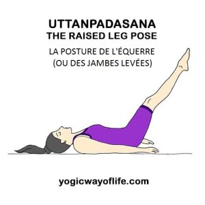 Uttanpadasana - la posture de l'équerre pour RENFORCER le système IMMUNITAIRE
