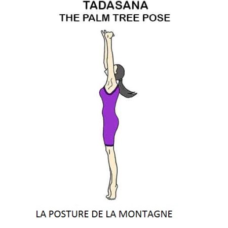 tadasana la posture de l'arbre ou la posture du palmier ou la posture de la montagne the palm tree pose