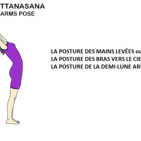 Hasta Uttanasana - la posture des mains levées - the raised arms pose
