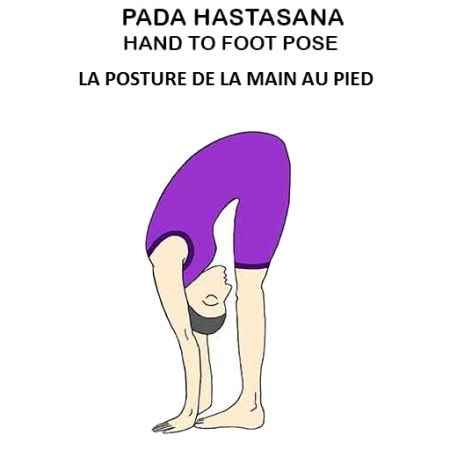 Padahastasana - la posture de la main au pied - the hand to foot pose